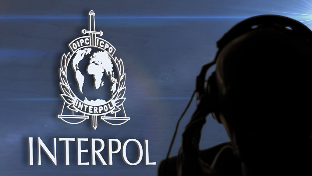 Interpol cilja infostealere: Ugašeno 20.000 IP adresa, uhapšene 32 osobe, obaviješteno 216.000 žrtava-Kiber.ba